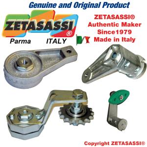 ROTARY TENSIONERS