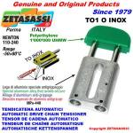 INOX LINEAR CHAIN TENSIONER TO1 oval head