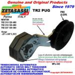 ROTARY BELT TENSIONERS - TR2 PUG with rim pulley