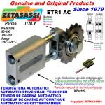 LINEAR DRIVE CHAIN TENSIONER ETR1 with idler sprocket 