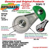ROTARY DRIVE CHAIN TENSIONER TCP1T wiht greaser 06C2 ASA35 double Newton 50-180