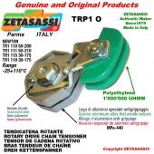 ROTARY DRIVE CHAIN TENSIONER TRP1O 10B2 5/8"x3/8" double Lever 111 (Newton 50:210)