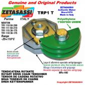 ROTARY DRIVE CHAIN TENSIONER TRP1T 08A2 ASA40 double Lever 111 (Newton 50:210)