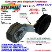 ROTARY DRIVE BELT TENSIONER TR2PUG with A/SPA rim pulley and bearings type PUG 3" in nylon Lever 218 Newton 120:480