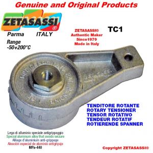 ROTARY DRIVE TENSIONER TC1 wiht greaser hole Ø10,5mm for attachment of accessories Newton 50-180