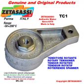 ROTARY DRIVE TENSIONER TC1 wiht greaser hole Ø8,2mm for attachment of accessories Newton 50-180